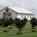 The Impact of Voluntary Organizations in McLennan County, TX